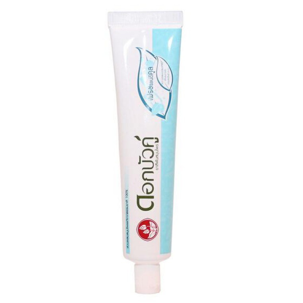 Twin Lotus Fresh & Cool Toothpaste 100g – Refreshing Natural Thai Oral Care