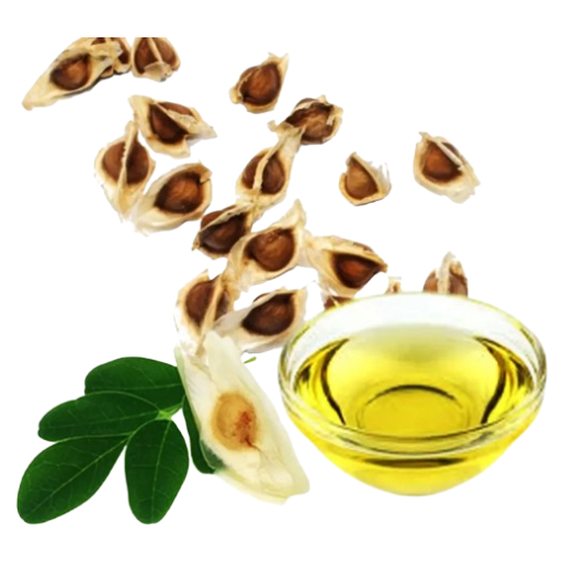 Parichart Organic Moringa Seed Oil - Pure & Cold-Pressed 30ml