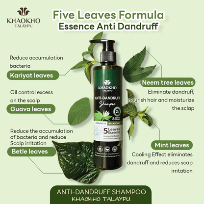 Khaokho Talaypu 5 Leaves Essence Anti-Dandruff Shampoo 240ml - Natural Relief for Flakes and Itching