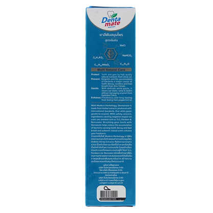 Denmate Herbal Toothpaste - Concentrated Natural Formula, 120g