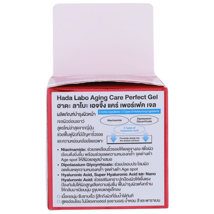 Hada Labo Aging Care Perfect Gel 80g – All-in-One Anti-Aging Moisturizer