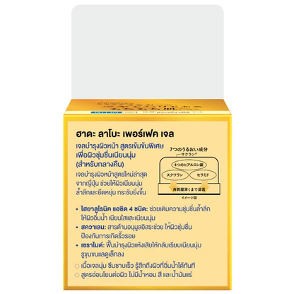 Hada Labo Deep Hydration Hydrating Perfect Gel 80g – Intensive Moisturizer & Skin Revitalizer