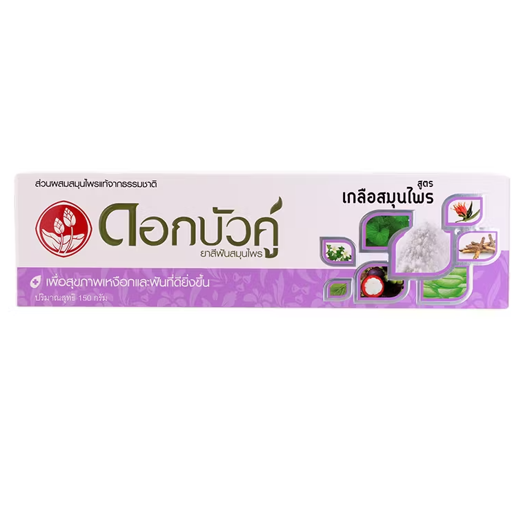 Twin Lotus Herbal Salt Toothpaste 150g - Natural Oral Care from Thailand