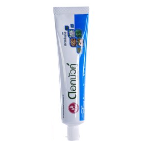 Twin Lotus Everfresh Toothpaste 150g – Crafted in Thailand for Fresh Breath & Strong Teeth