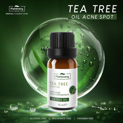 Plantnery Tea Tree Oil Concentrate 10ml - Pure & Revitalizing