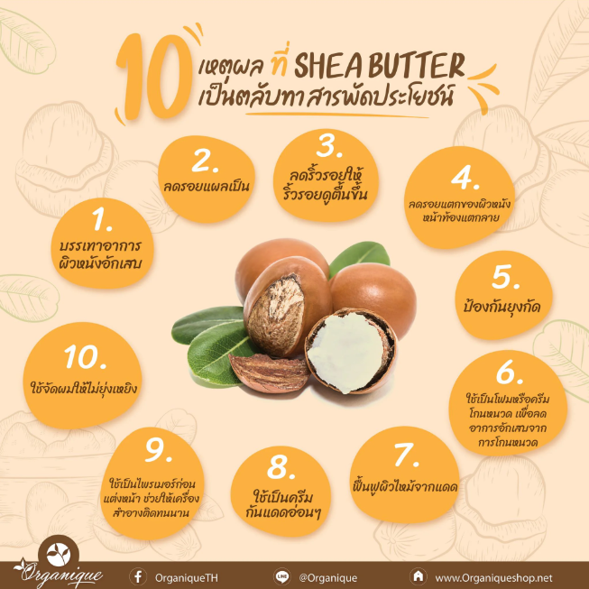 Organique Shea Butter Natural Balm 50g – Deep Moisturizer & Skin Protector