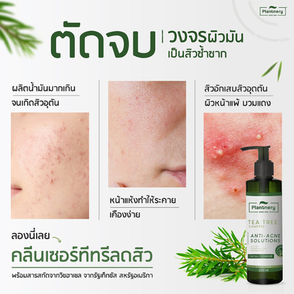 Plantnery Tea Tree Facial Cleanser 250ml - Deep Cleansing & Refreshing