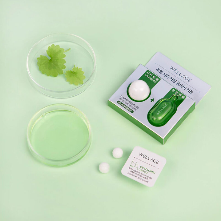 Wellage Real Cica Calming One Day Kit - 15ml