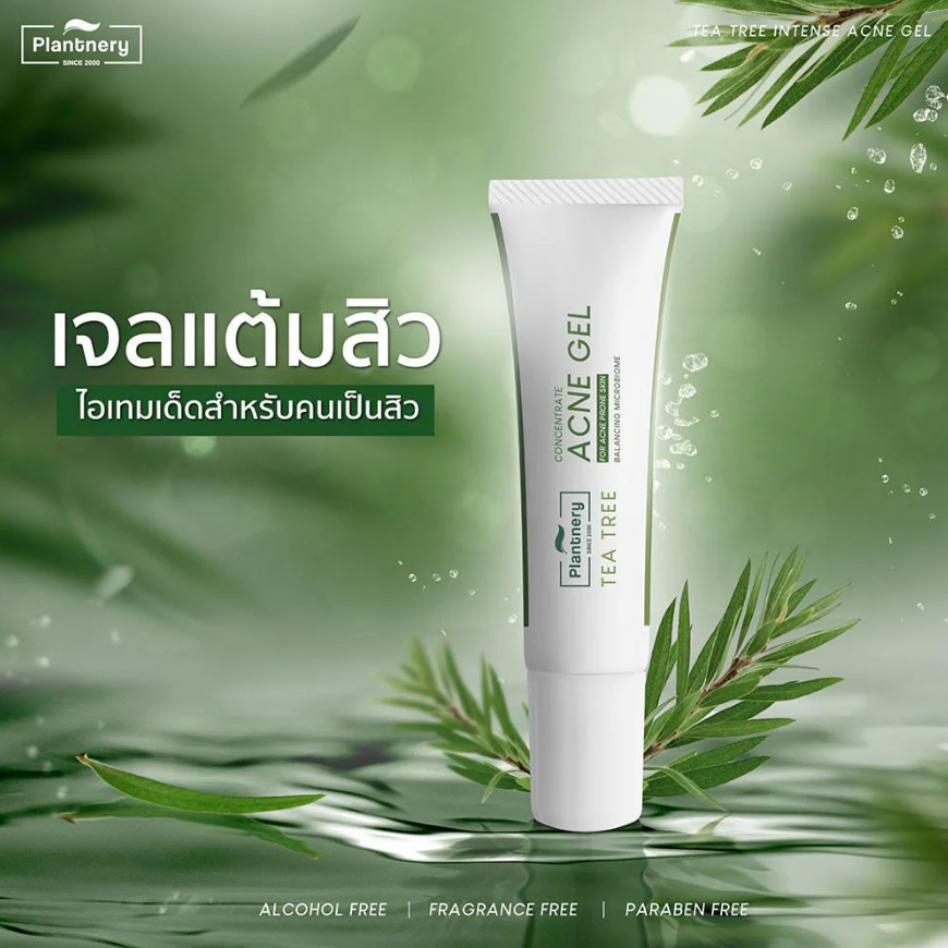 Plantnery Tea Tree Intense Acne Gel - 15g for Clear Skin