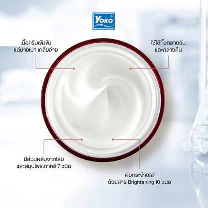 Yoko Ginseng Anti-Aging Cream 25ml – Potent Youthful Skin Solution