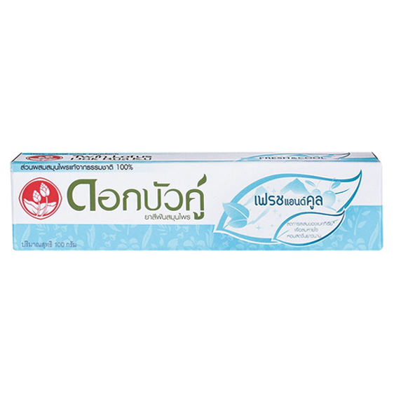 Twin Lotus Fresh & Cool Toothpaste 100g – Refreshing Natural Thai Oral Care