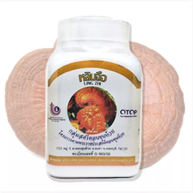 Duangporn Ling Zhi Mushroom - Boosts Immunity & Nourishes Organs - 100 Capsules