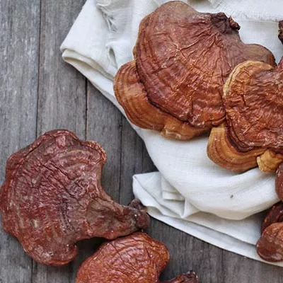 Duangporn Ling Zhi Mushroom - Boosts Immunity & Nourishes Organs - 100 Capsules