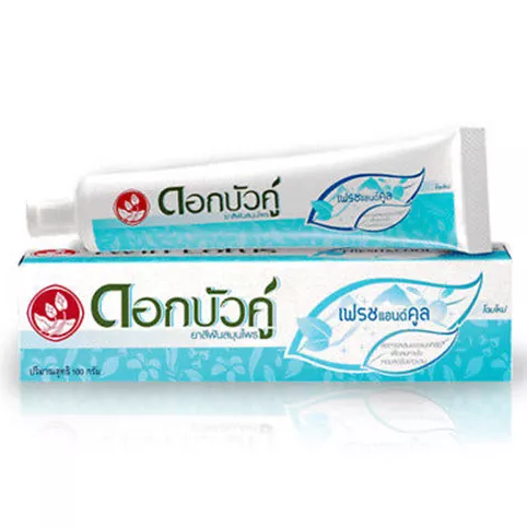 Twin Lotus Fresh & Cool Toothpaste 100g – Refreshing Natural Thai Oral Care